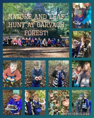 Nature and leaf hunt in Garvagh forest.